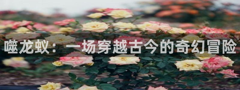 羞羞漫画小漫画：噬龙蚁：一场穿越古今的奇幻冒险